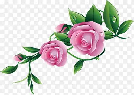 春天粉色玫瑰装饰花朵