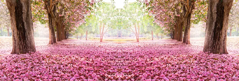 花瓣小径浪漫全屏海报背景七夕