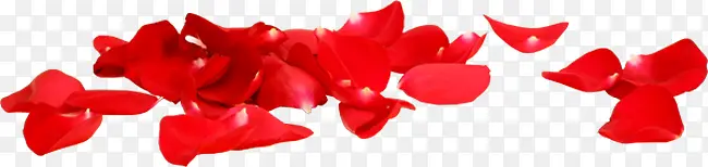 红色花瓣背景图片
