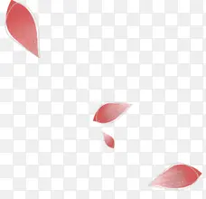 红色花瓣透明装饰