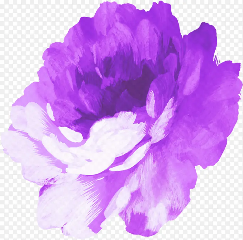 手绘紫色玫瑰装饰