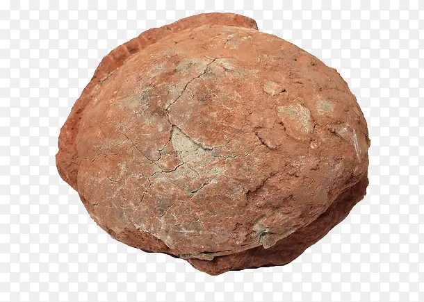 红色圆球化石