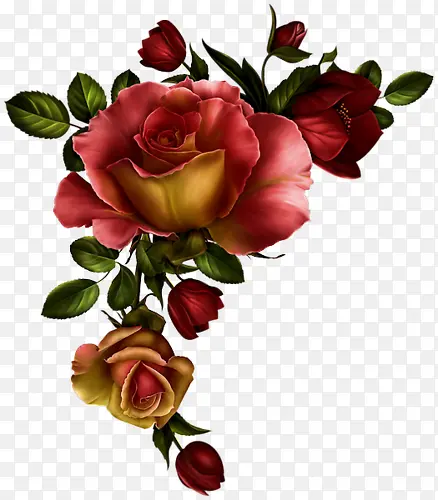 彩绘玫瑰花花朵装饰