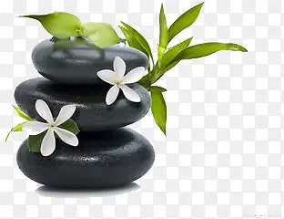 高清黑色石头花朵绿叶