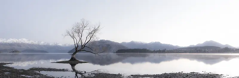 清新湖泊小树风景