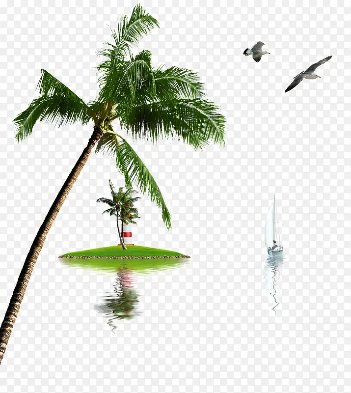 湖边的椰子树