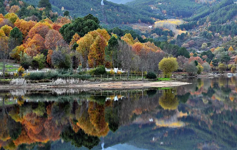 黄色树叶山峰湖面