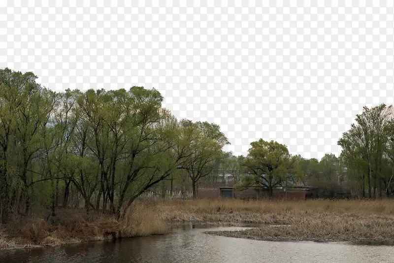 北京稻香湖春天风景