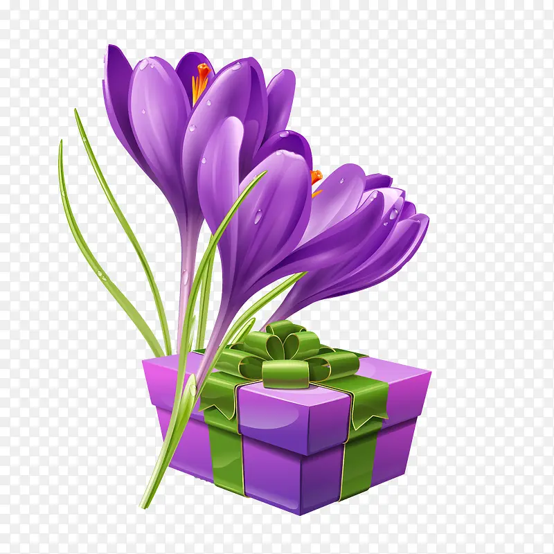 紫色礼包花素材
