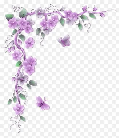 花朵边角
