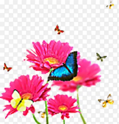 蝴蝶粉色梦幻花纹花朵