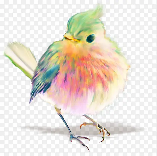手绘彩色羽毛卡通小鸟动物