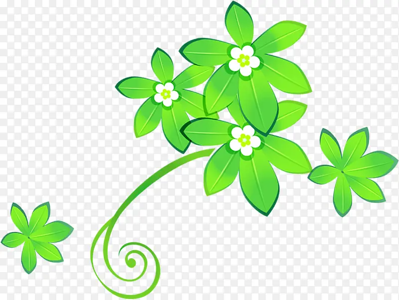 春天手绘绿叶白花