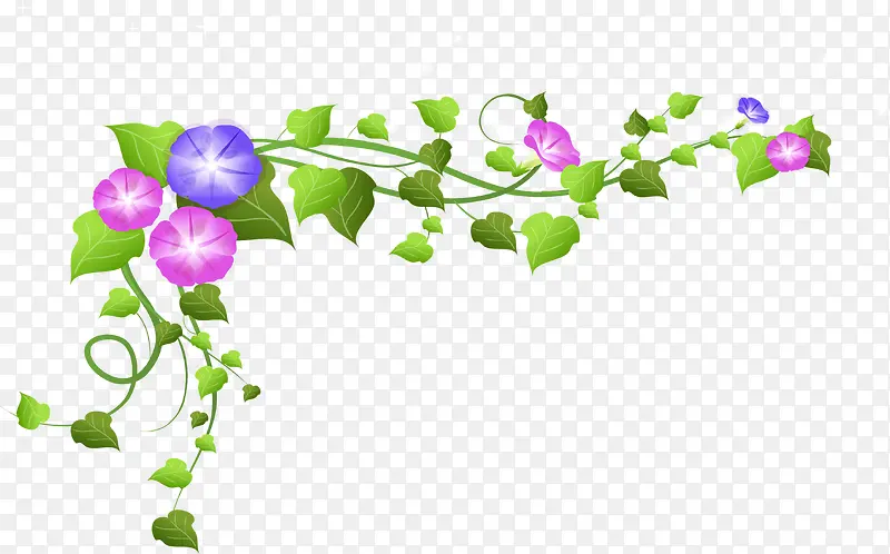 手绘粉紫色花朵绿叶