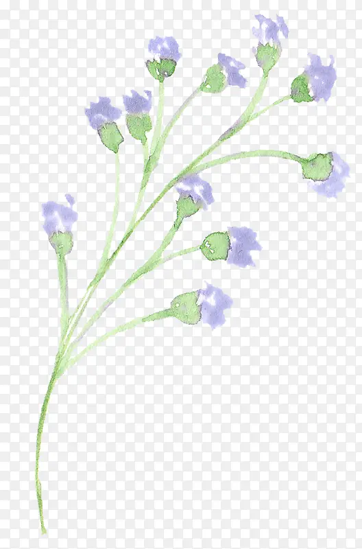 手绘水彩紫色小花绿叶装饰