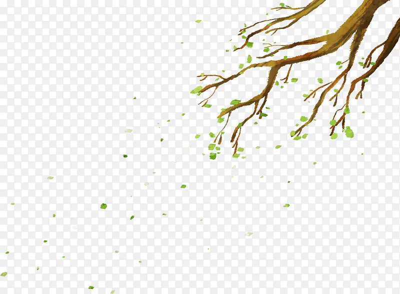 手绘春季绿叶树枝