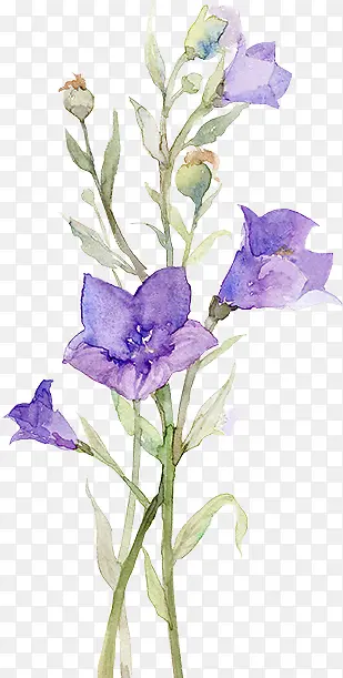 手绘水彩紫色小花绿叶