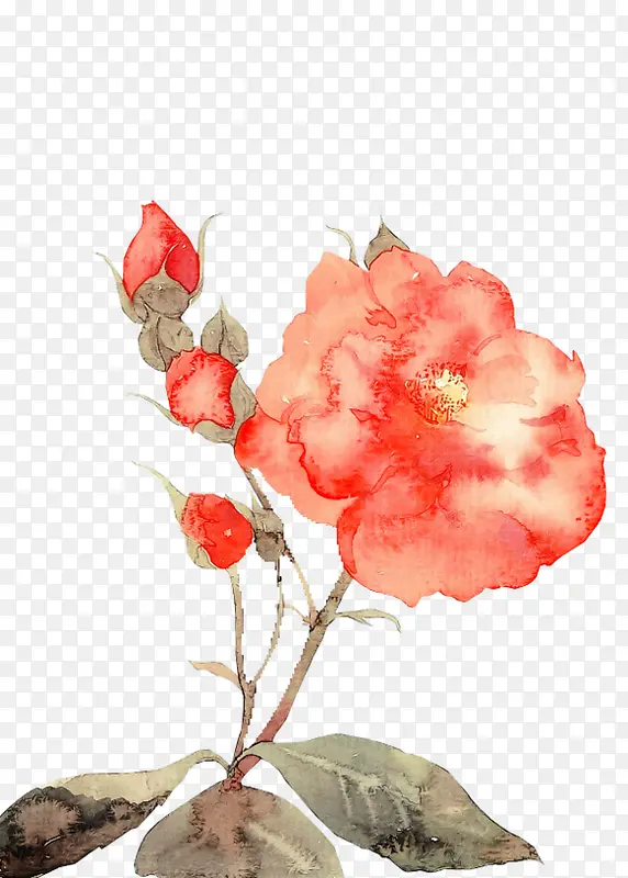 红色手绘花朵花苞