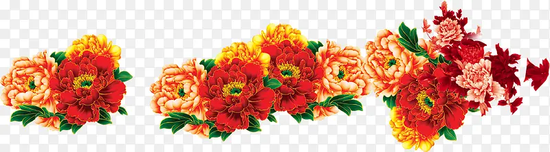 彩色牡丹花朵风光