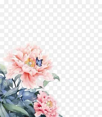 牡丹花多蓝色蝴蝶