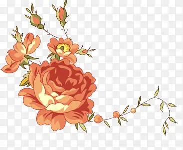 手绘红色牡丹花