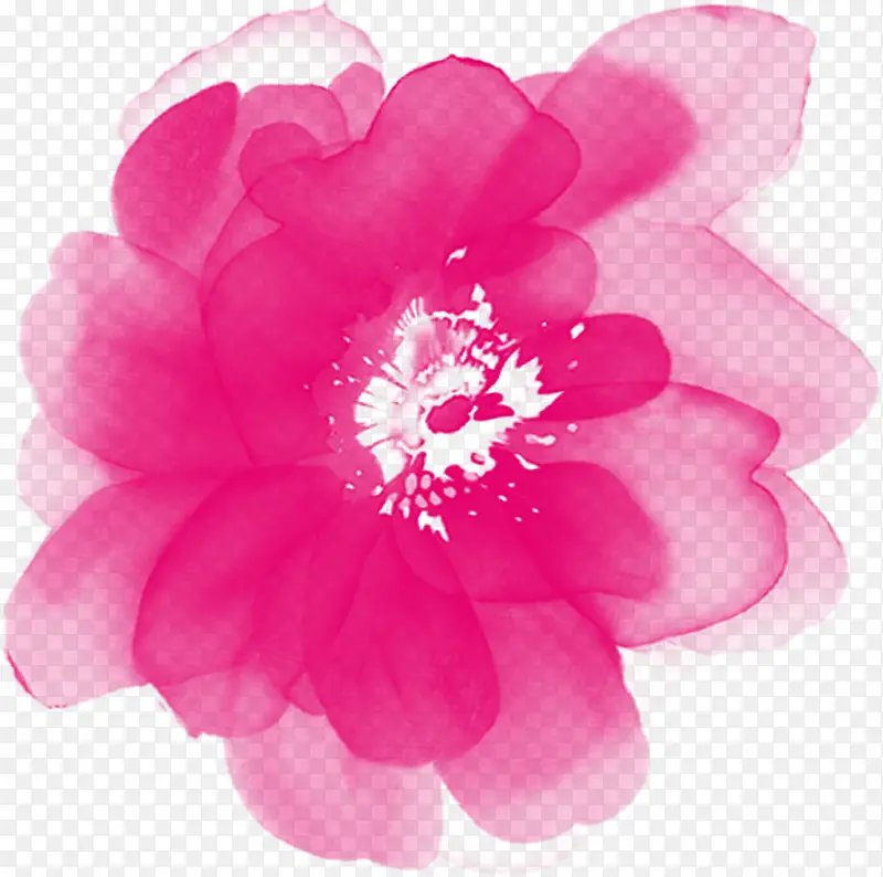 水墨画粉色牡丹花卉
