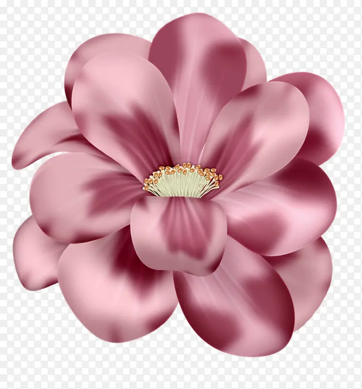 手绘牡丹