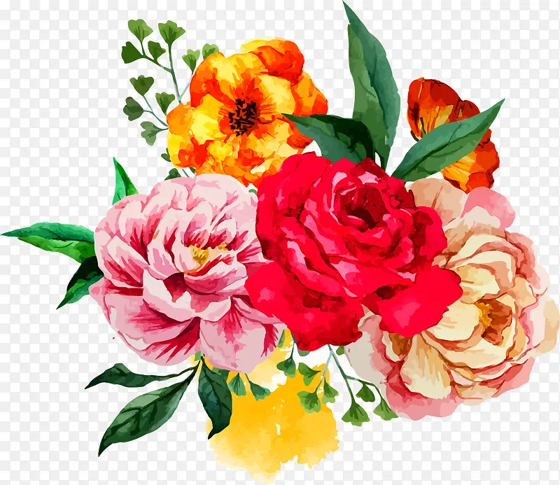 牡丹花