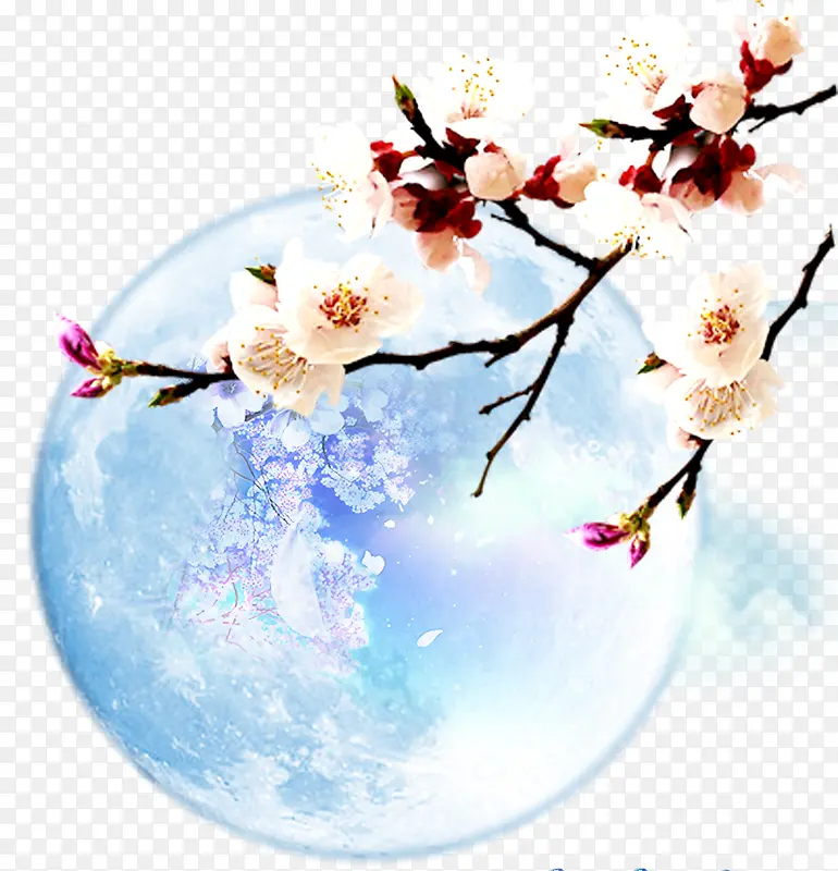 桃花和星球
