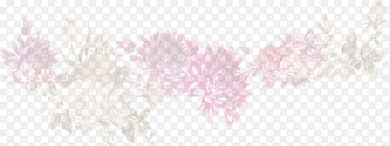 粉色菊花白色牡丹