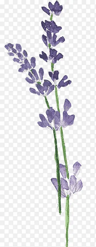 紫色手绘装饰花
