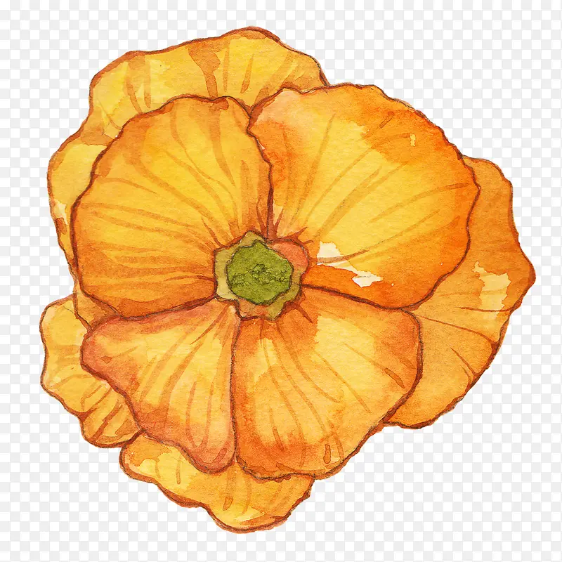 花朵手绘