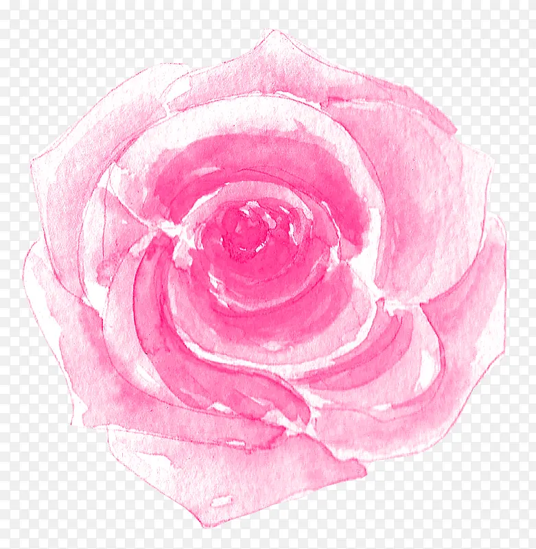 粉色手绘的花朵