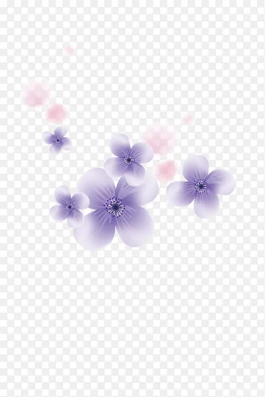 紫色花装饰
