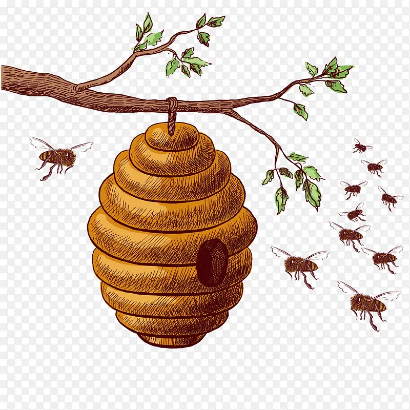 卡通蜂巢与蜜蜂