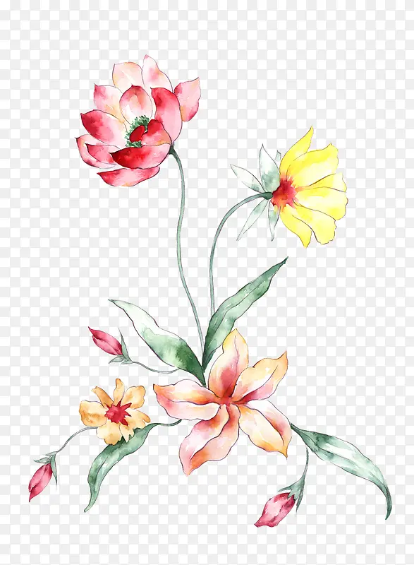 手绘花朵装饰