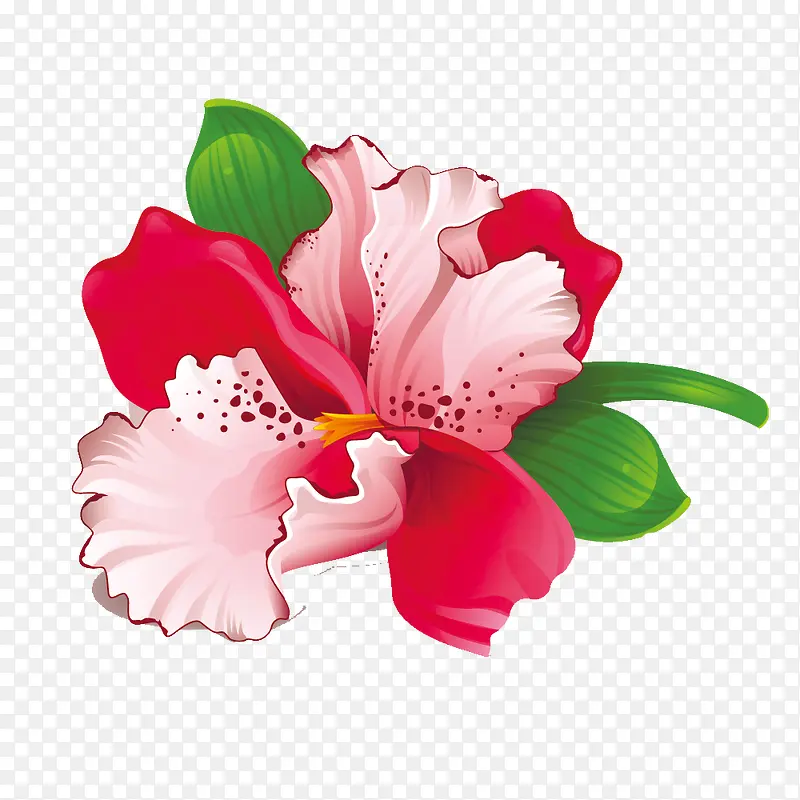 手绘花朵装饰图案