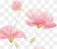 手绘粉色花卉新年贺卡