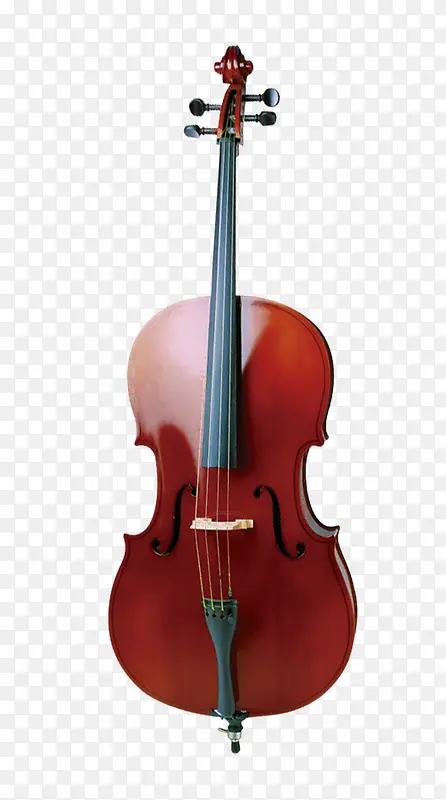 大提琴实物