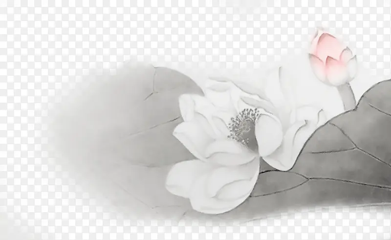 清新白色手绘莲花