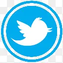 圆形社交媒体PNG图标网页图标twitter
