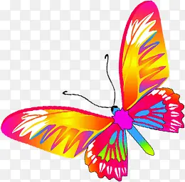 彩色卡通可爱创意蝴蝶设计