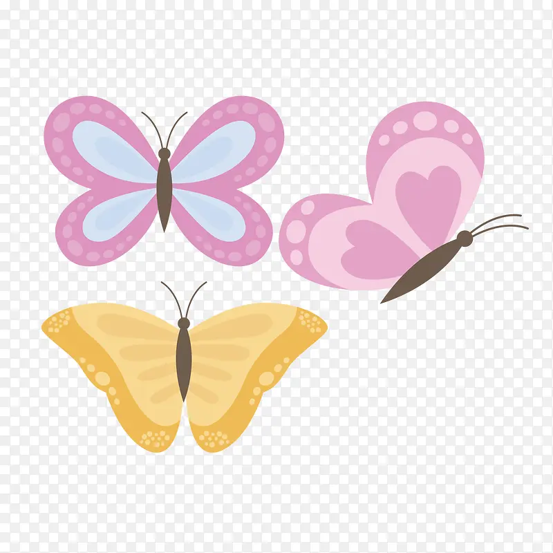 昆虫