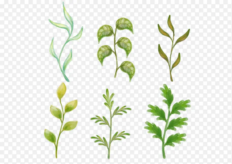 花朵小草手绘矢量图植物