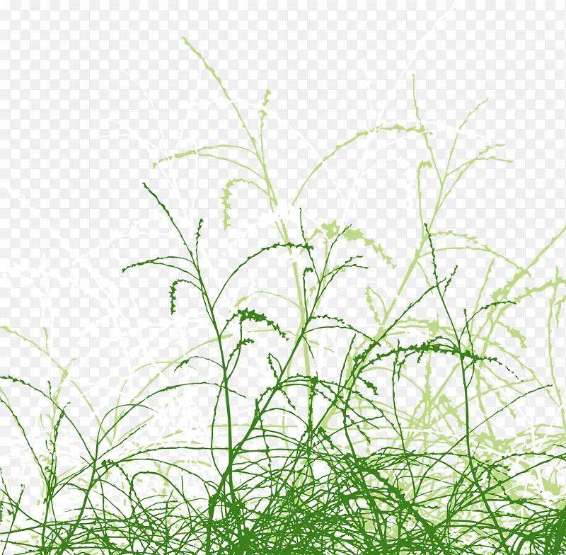 风中摇曳的小草