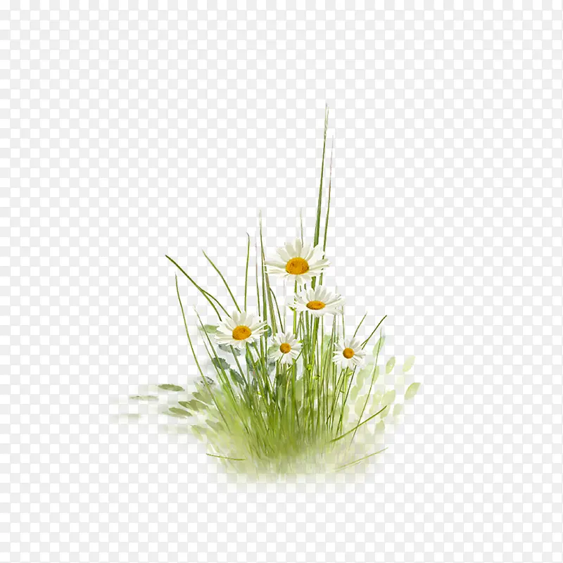 小草