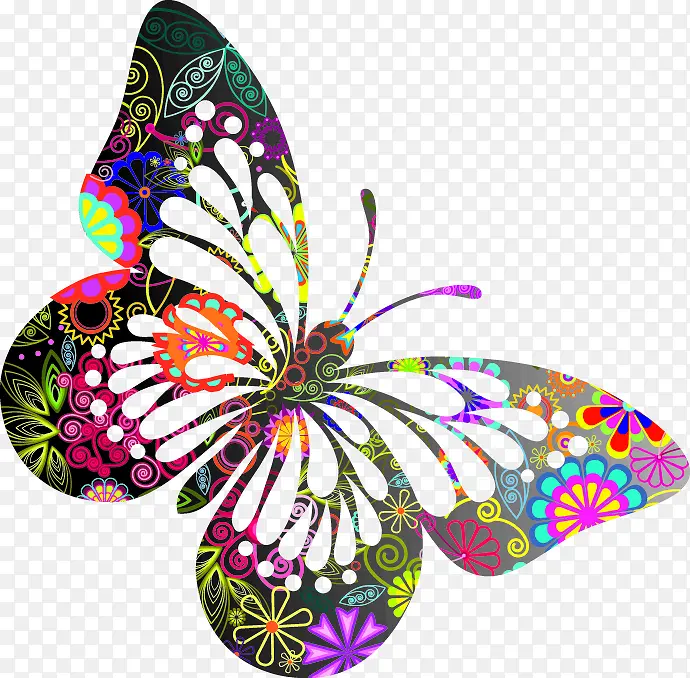 彩色个性时尚蝴蝶