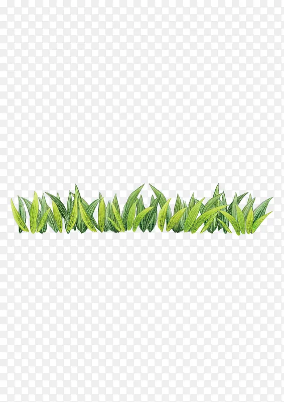 草坪草地
