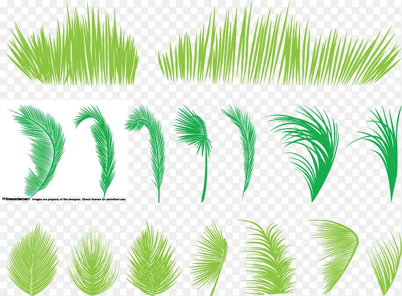 棕榈树叶和小草