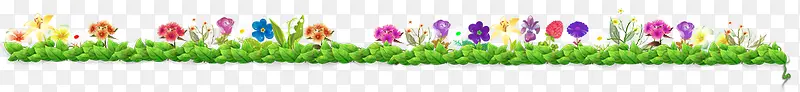 花朵小草单车